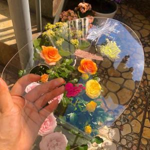 Transparent Palette